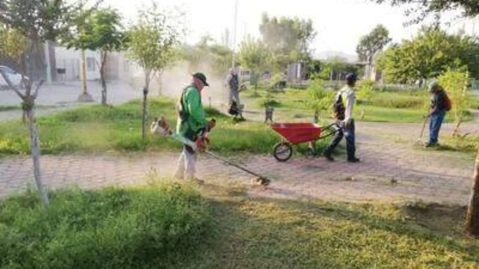 Lerdo se distingue por sus áreas verdes